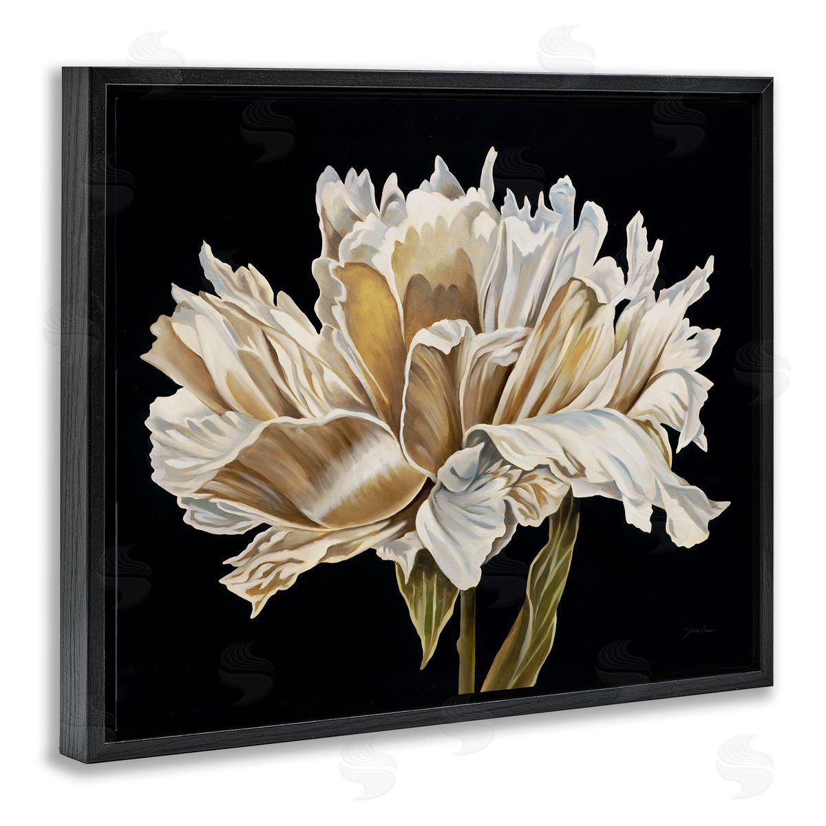 Liz Jardine Vintage Petals over Black Canvas Wall Art Print