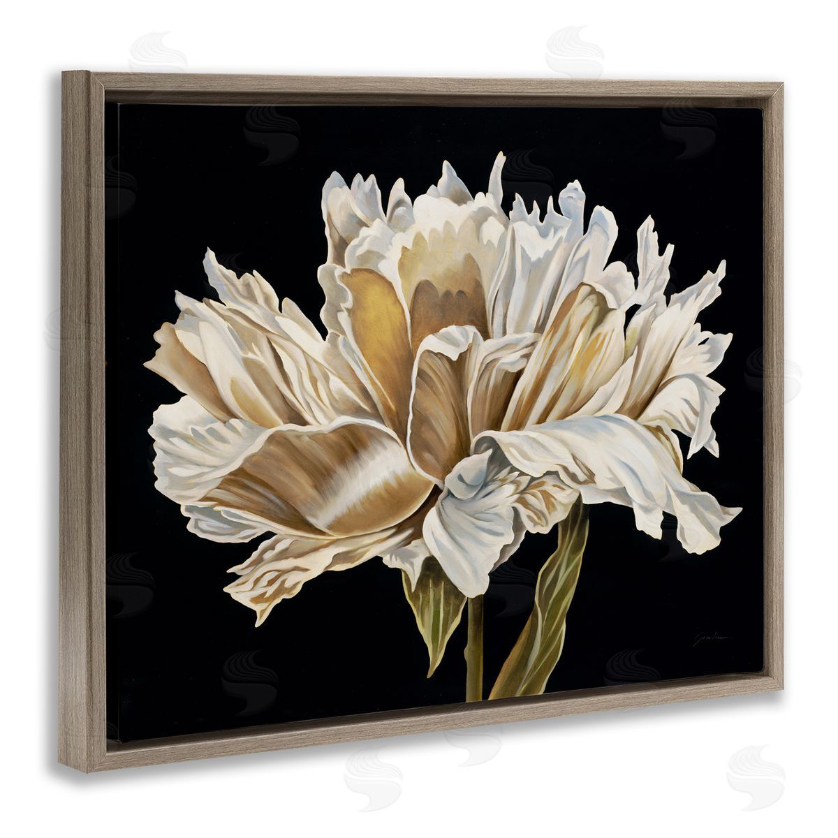 Liz Jardine Vintage Petals over Black Canvas Wall Art Print