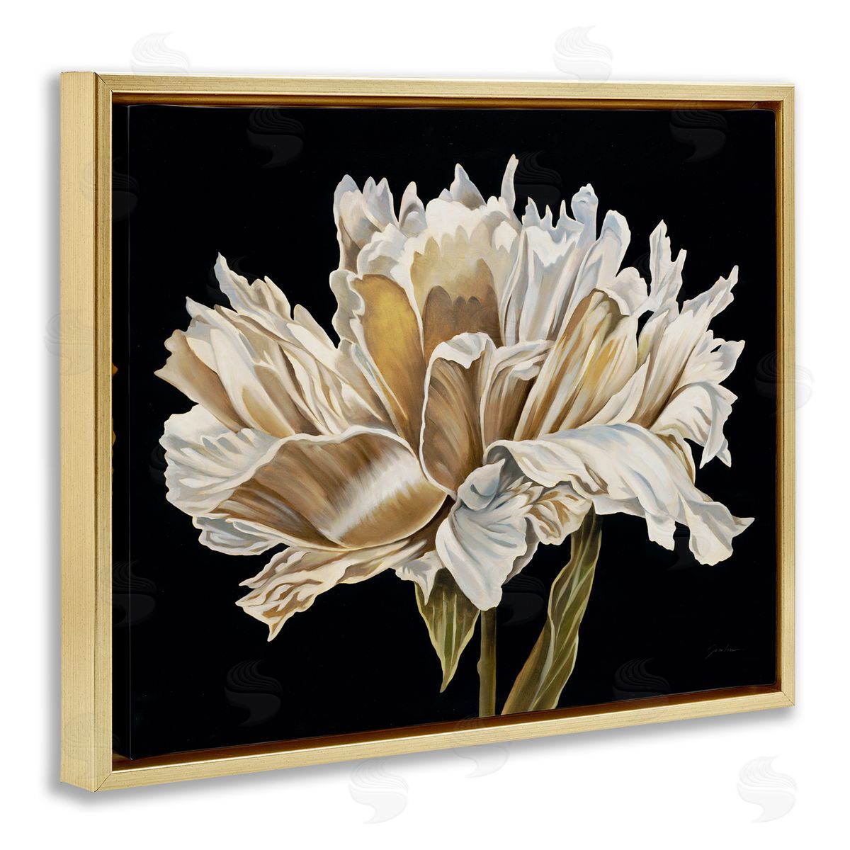 Liz Jardine Vintage Petals over Black Canvas Wall Art Print