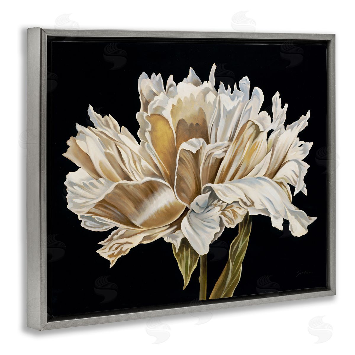 Liz Jardine Vintage Petals over Black Canvas Wall Art Print
