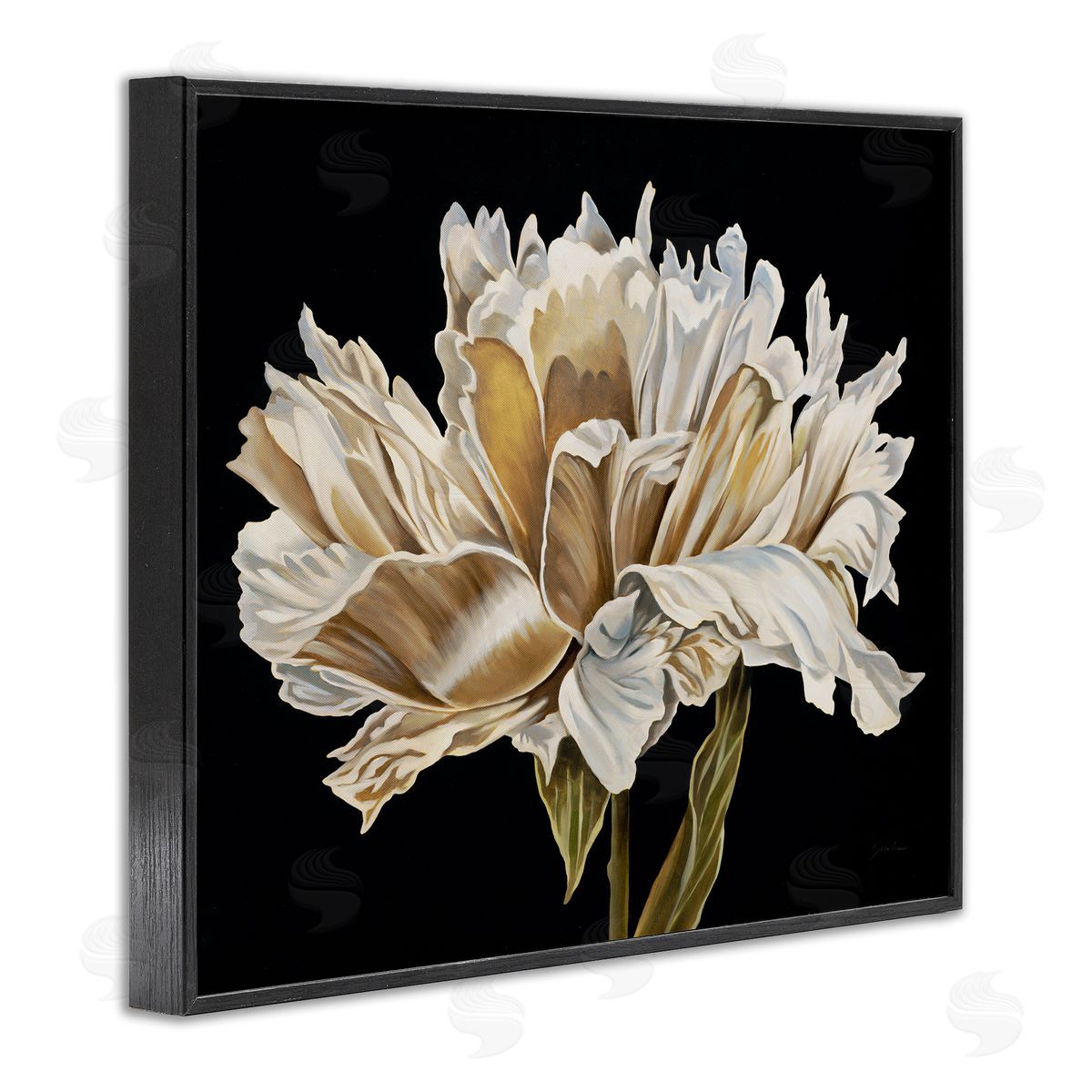 Liz Jardine Vintage Petals over Black Canvas Wall Art Print
