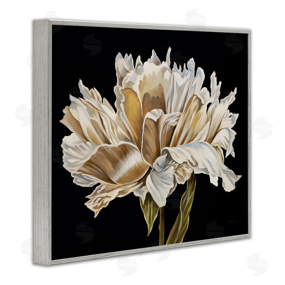 Liz Jardine Vintage Petals over Black Canvas Wall Art Print