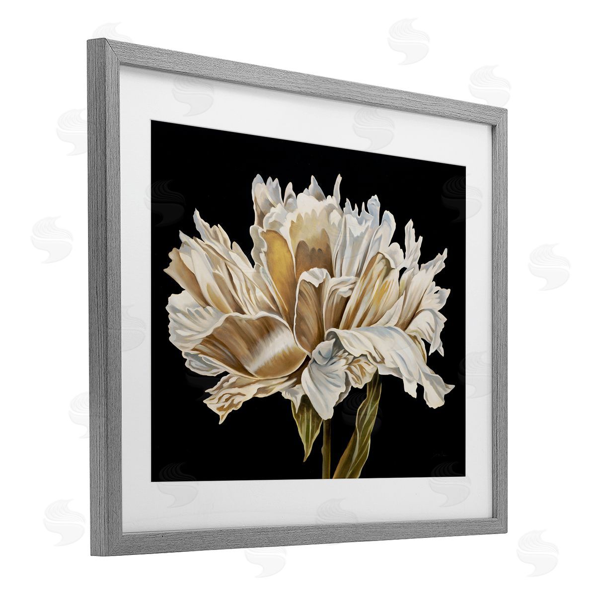 Liz Jardine Vintage Petals over Black Canvas Wall Art Print