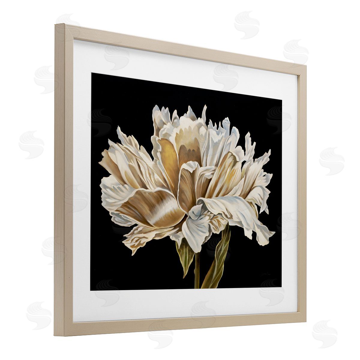 Liz Jardine Vintage Petals over Black Canvas Wall Art Print
