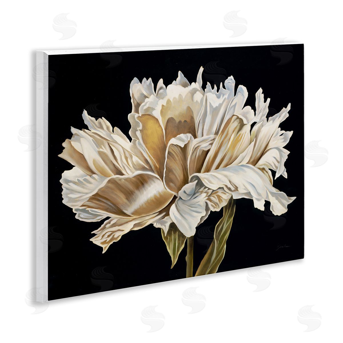 Liz Jardine Vintage Petals over Black Canvas Wall Art Print