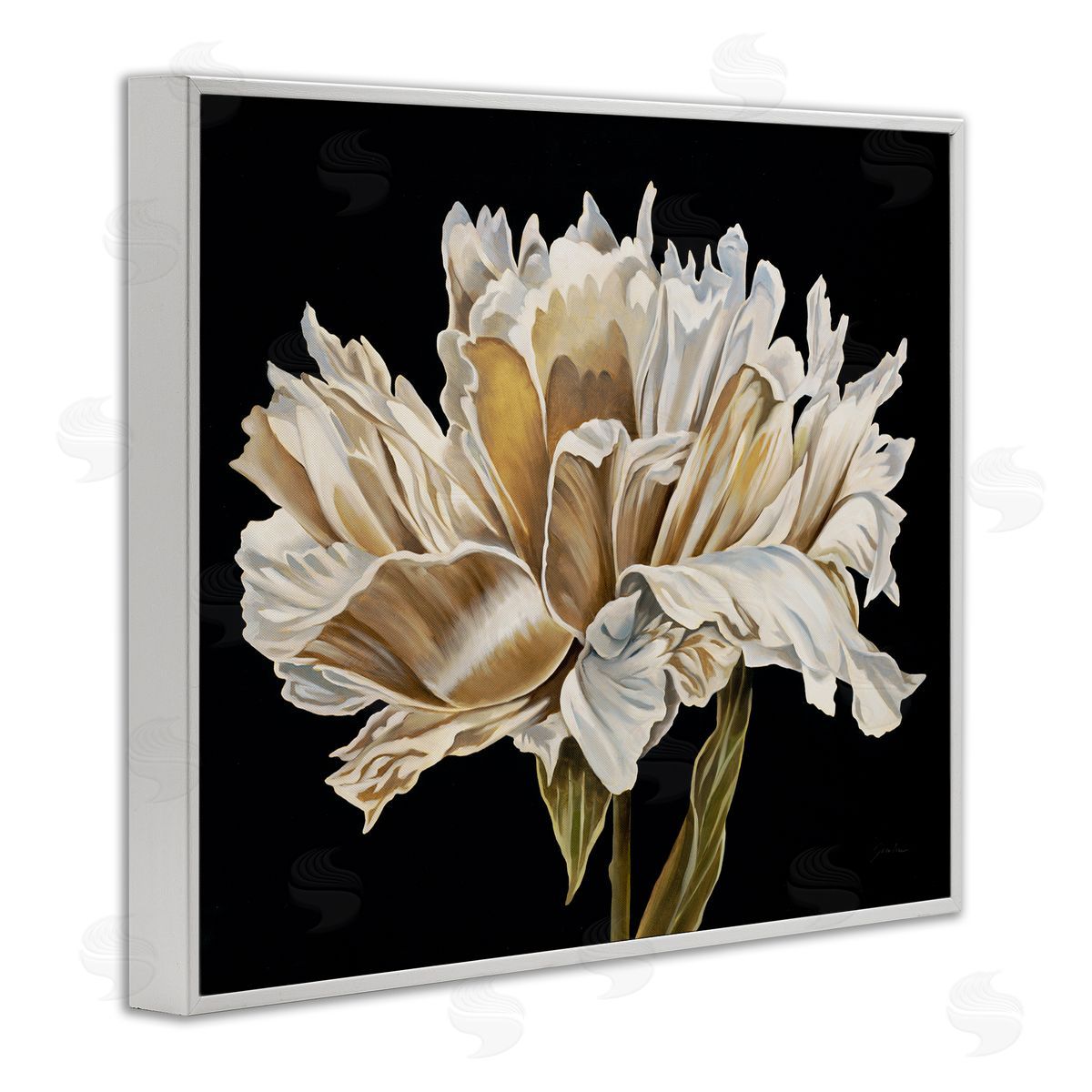 Liz Jardine Vintage Petals over Black Canvas Wall Art Print