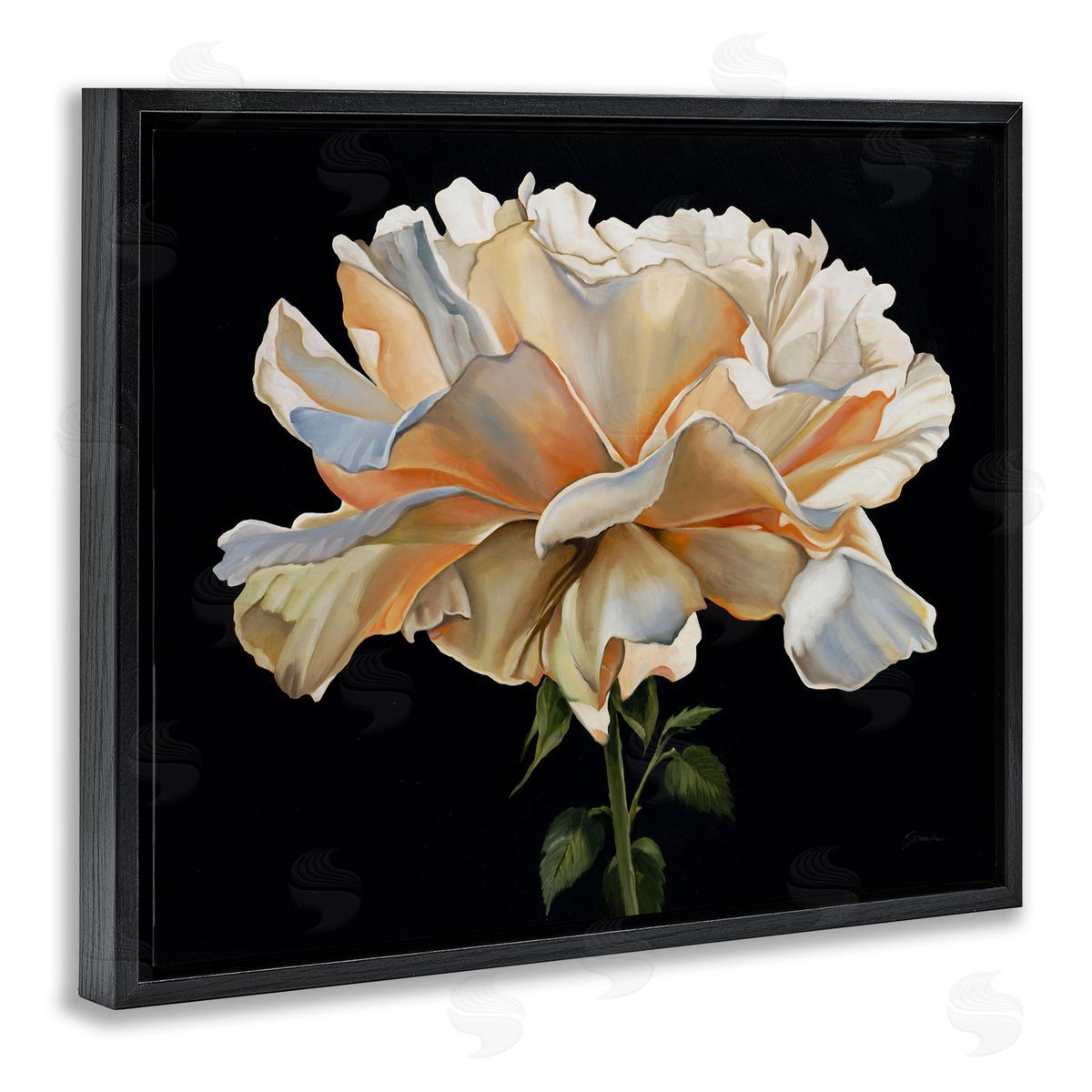 Liz Jardine Delicate Carnation Petals over Black Canvas Wall Art Print