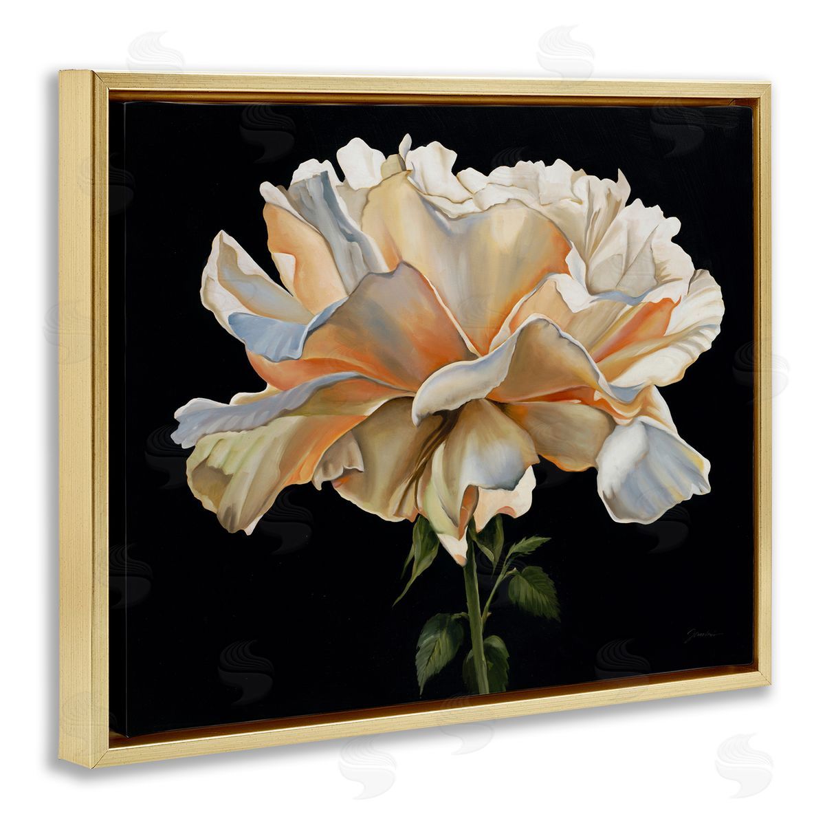 Liz Jardine Delicate Carnation Petals over Black Canvas Wall Art Print