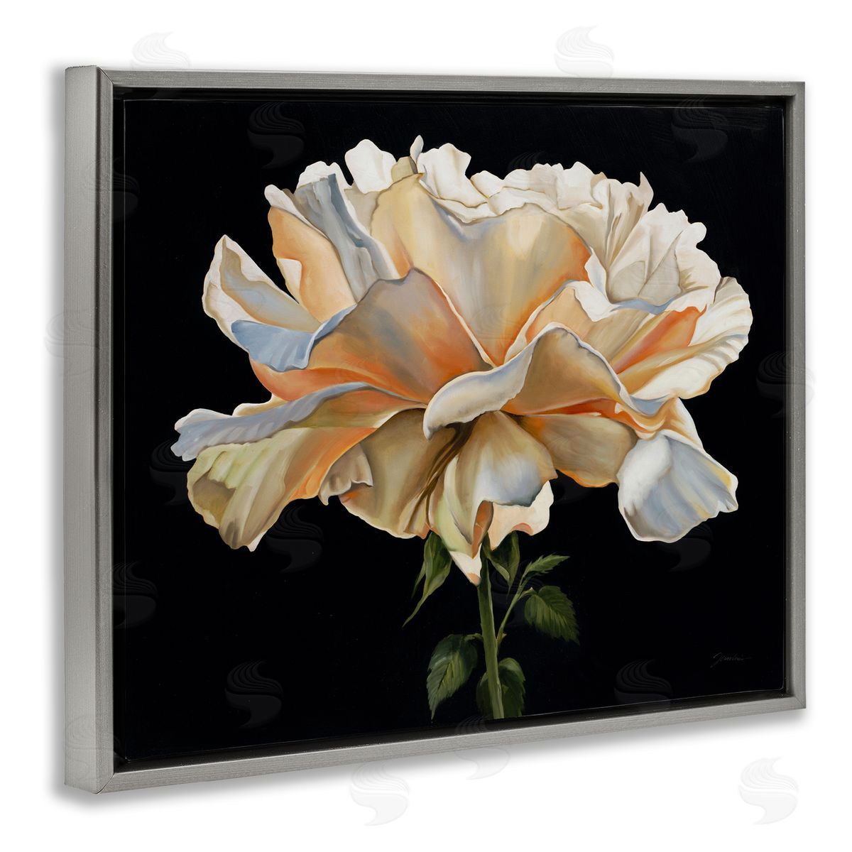 Liz Jardine Delicate Carnation Petals over Black Canvas Wall Art Print