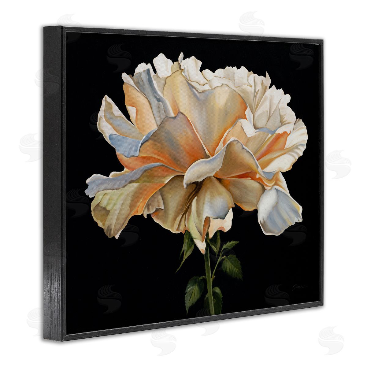 Liz Jardine Delicate Carnation Petals over Black Canvas Wall Art Print
