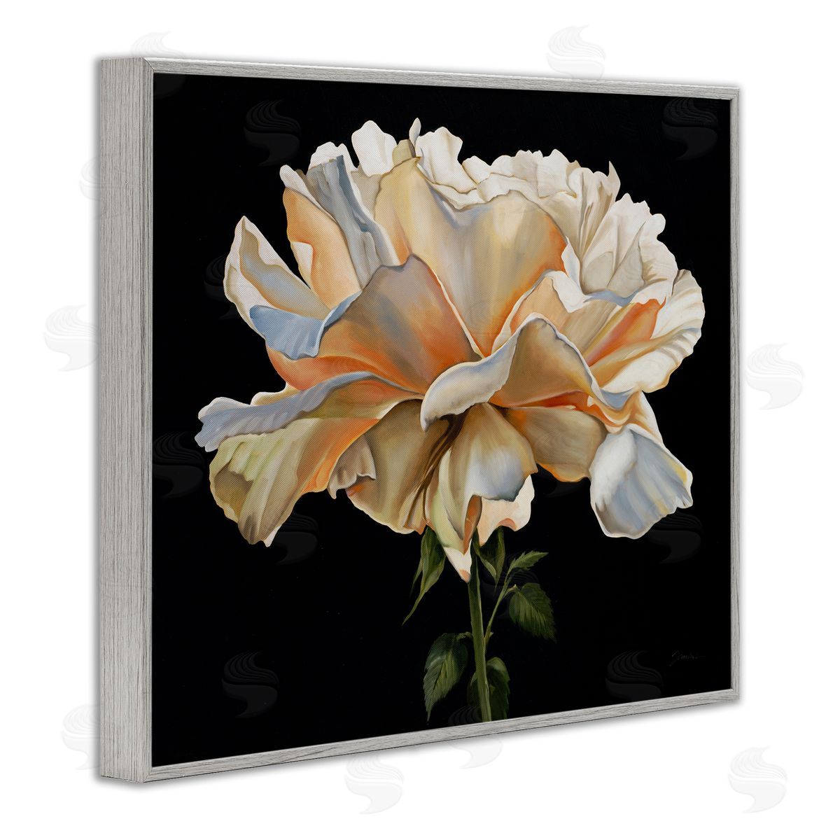 Liz Jardine Delicate Carnation Petals over Black Canvas Wall Art Print