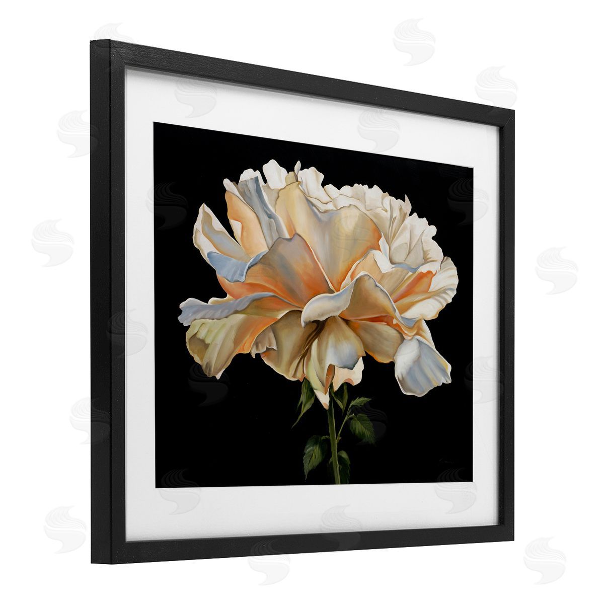 Liz Jardine Delicate Carnation Petals over Black Canvas Wall Art Print