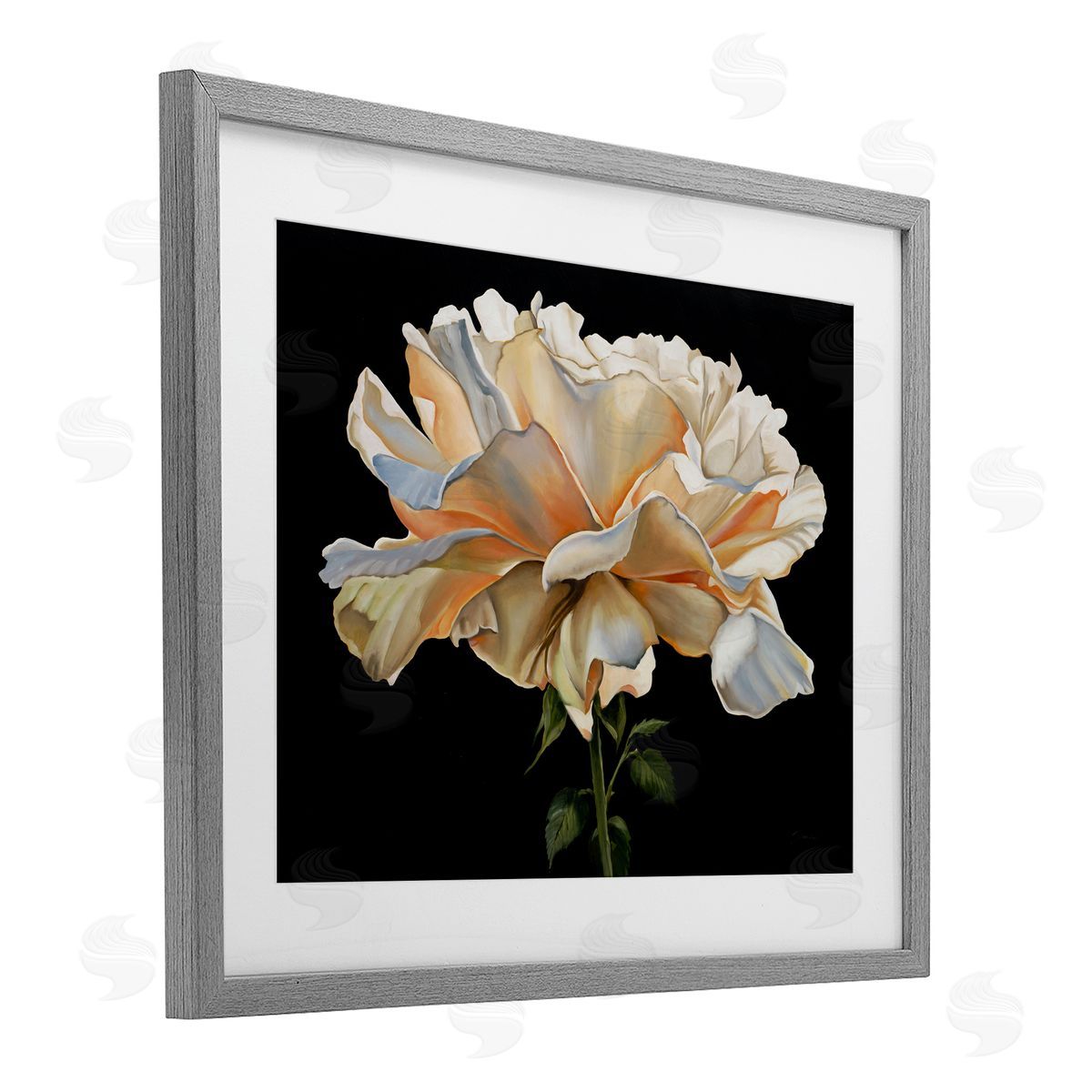 Liz Jardine Delicate Carnation Petals over Black Canvas Wall Art Print