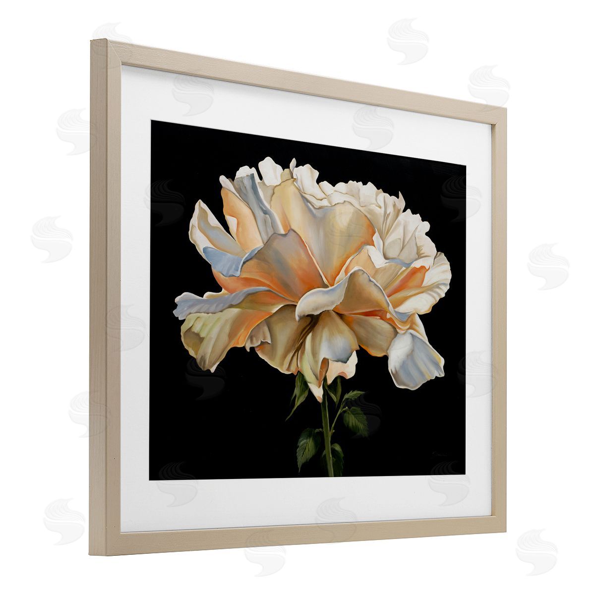 Liz Jardine Delicate Carnation Petals over Black Canvas Wall Art Print