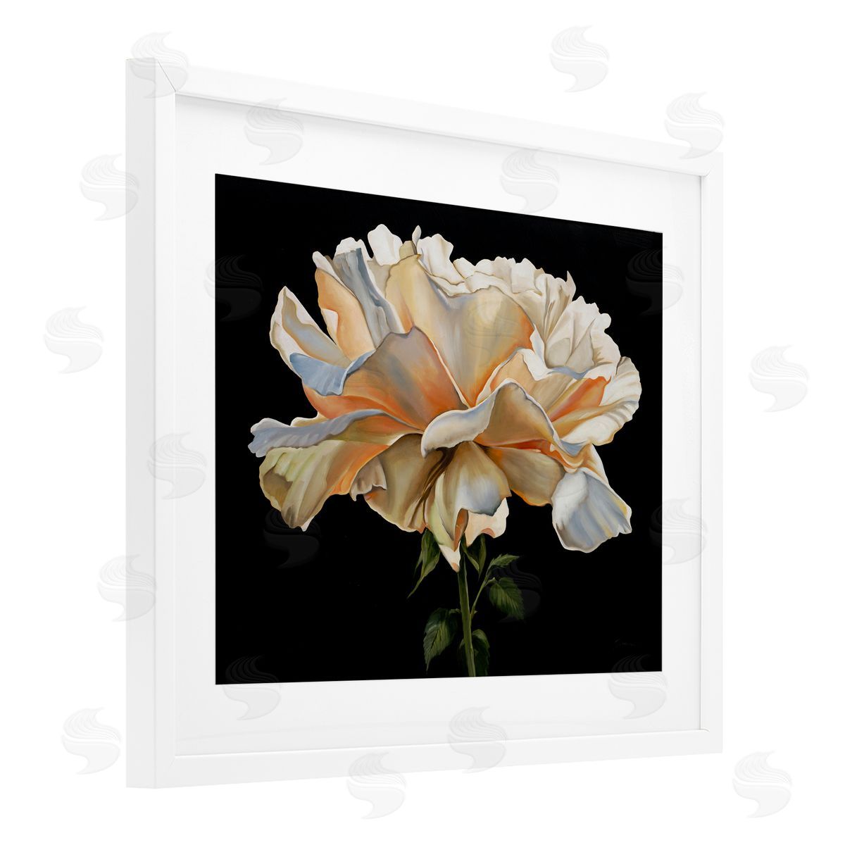 Liz Jardine Delicate Carnation Petals over Black Canvas Wall Art Print