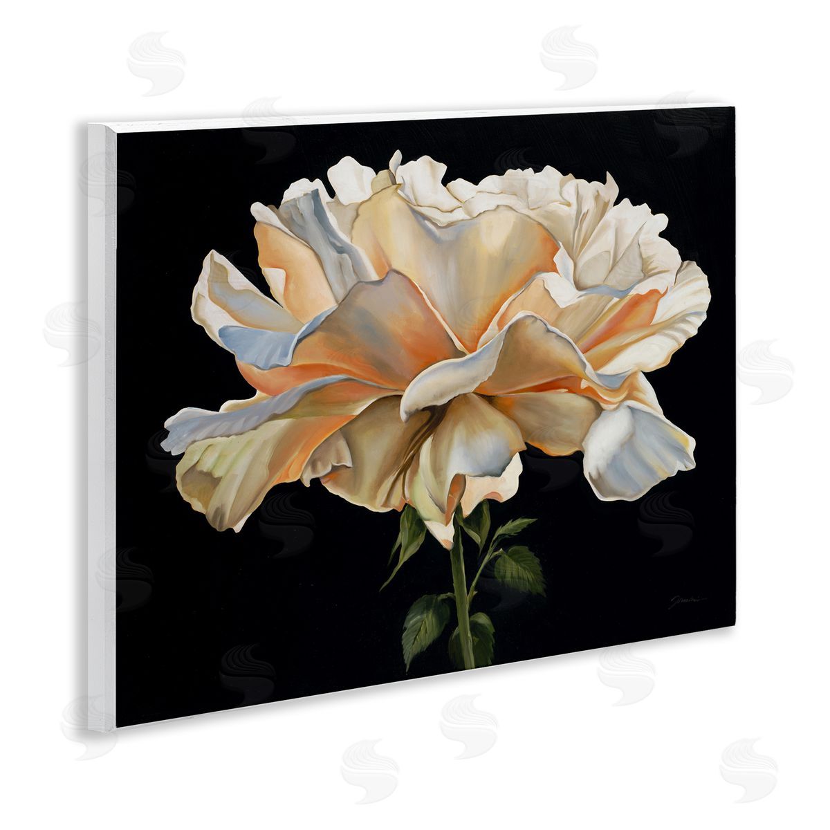 Liz Jardine Delicate Carnation Petals over Black Canvas Wall Art Print