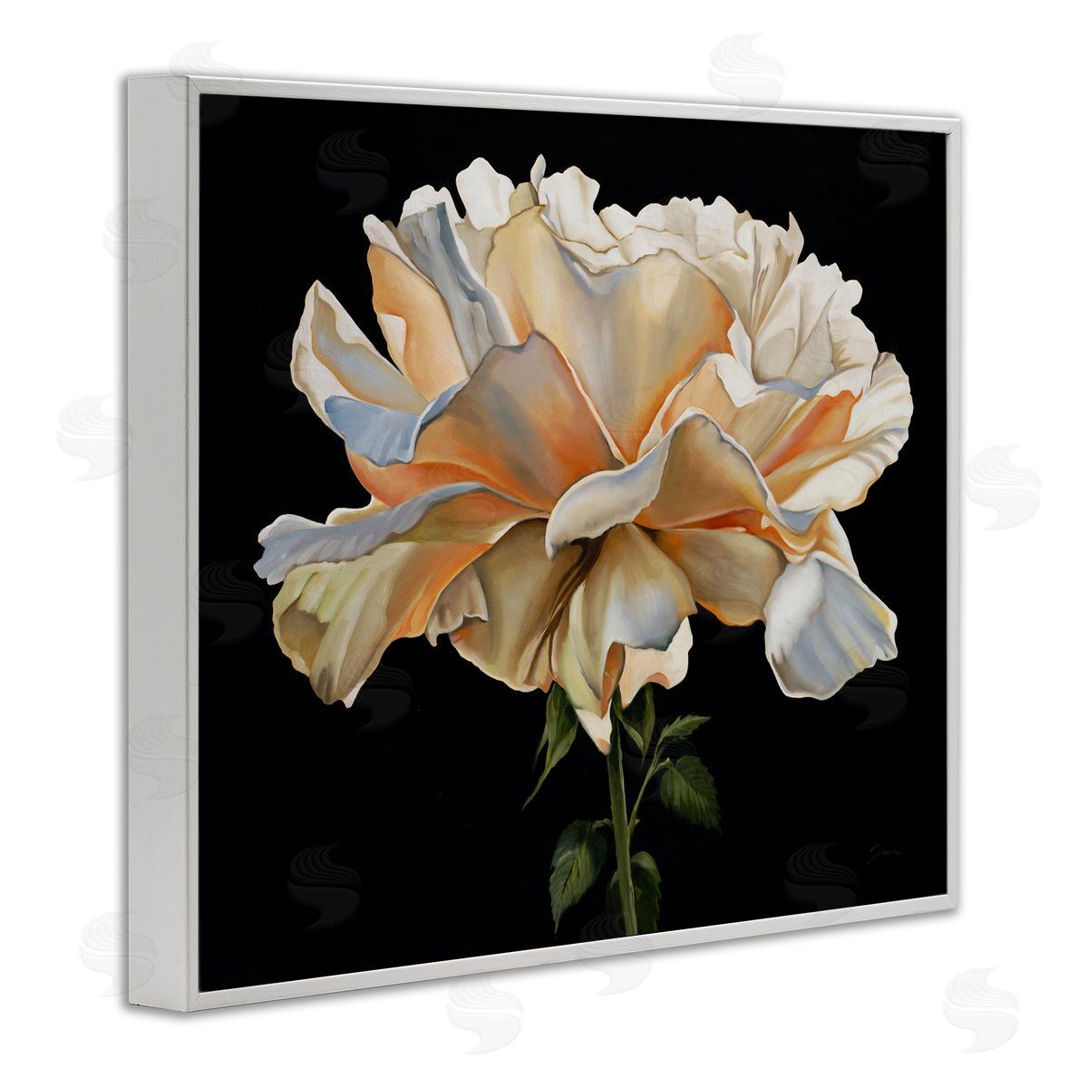 Liz Jardine Delicate Carnation Petals over Black Canvas Wall Art Print