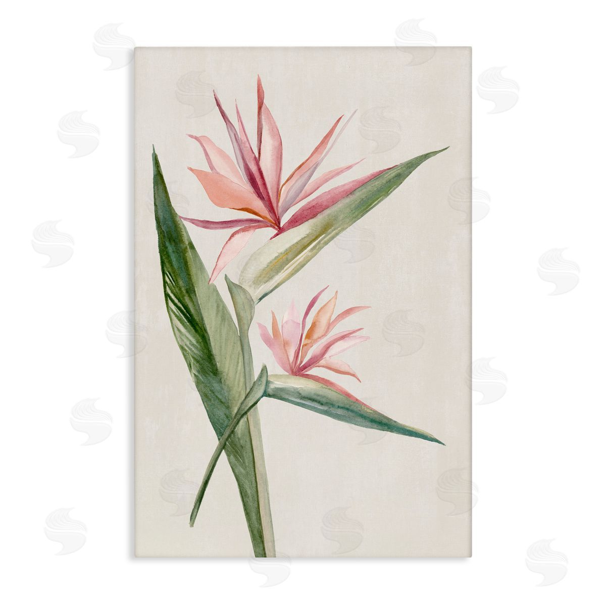 Hannah Dawson Tropical Grace Birds of Paradise Canvas Wall Art Print