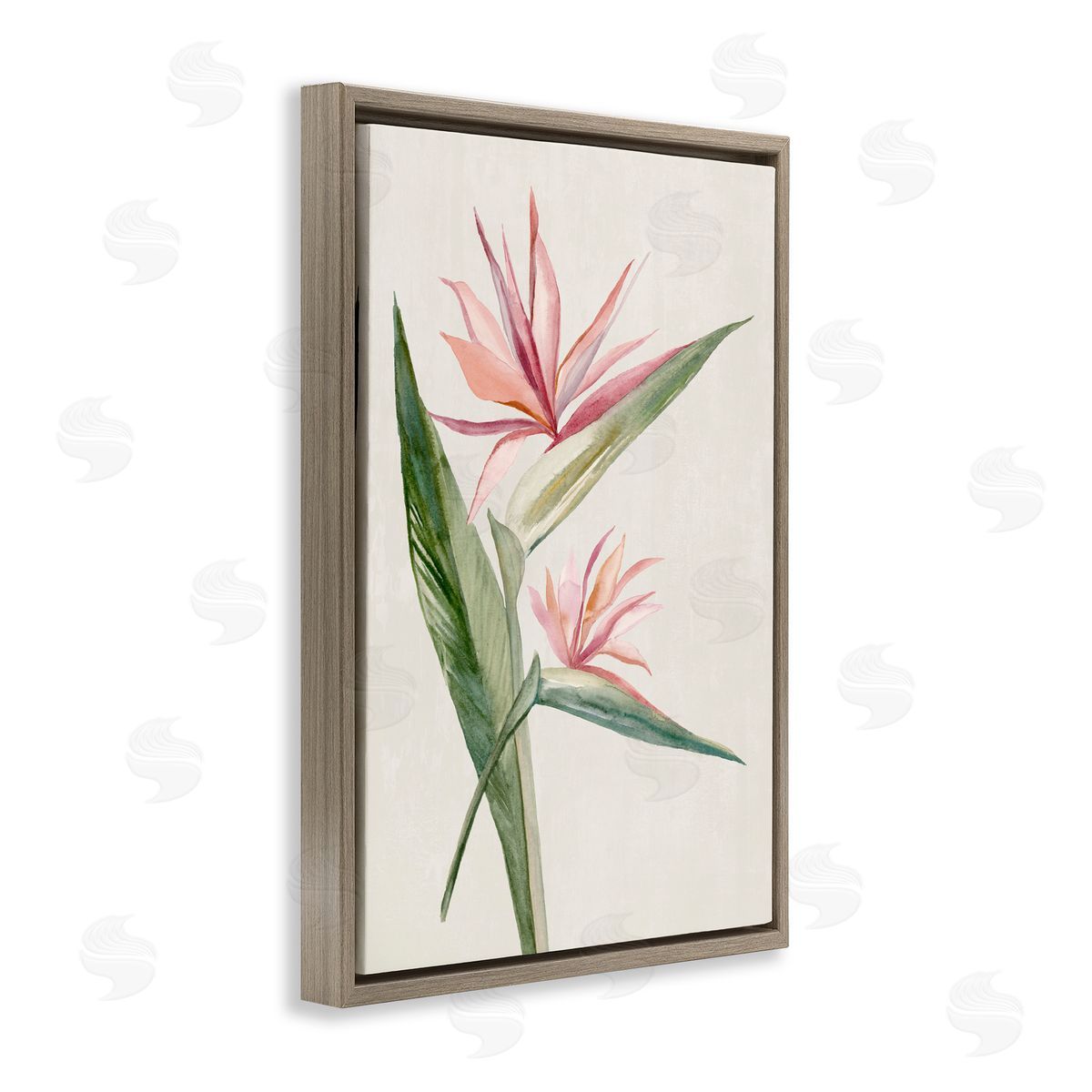 Hannah Dawson Tropical Grace Birds of Paradise Brown Floating Frame Canvas Art Print