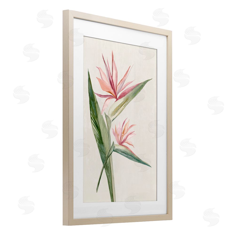 Hannah Dawson Tropical Grace Birds of Paradise Birch Framed Print Under Glass Art