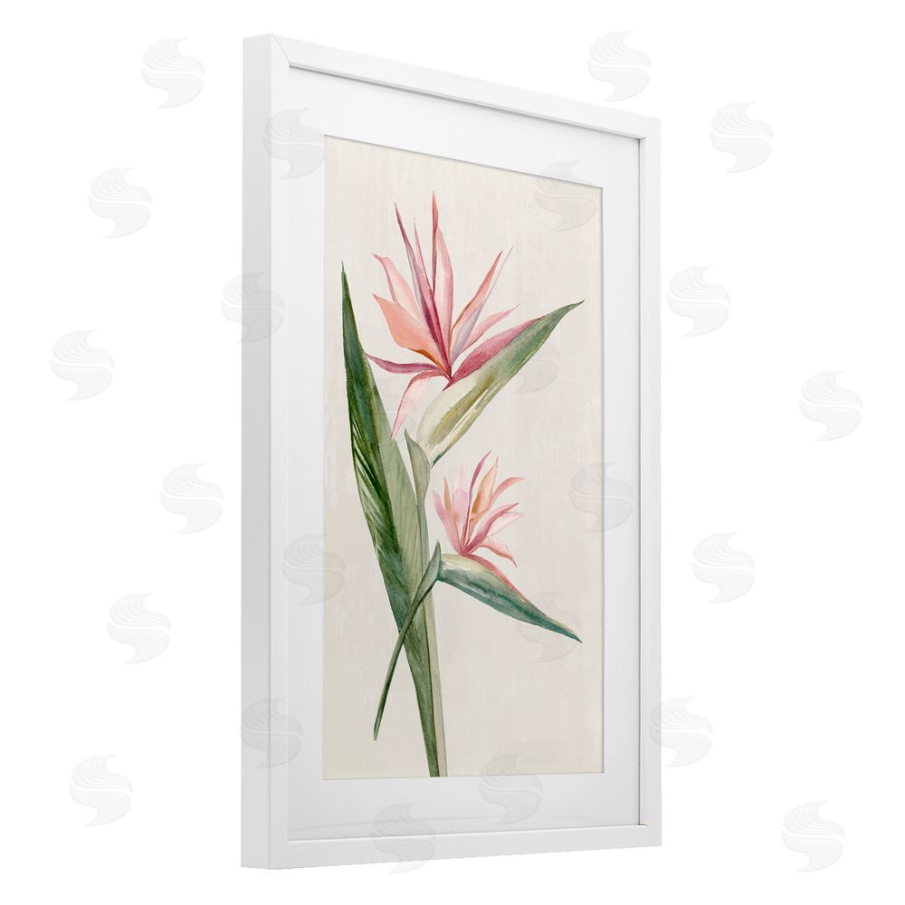 Hannah Dawson Tropical Grace Birds of Paradise White Framed Print Under Glass Art