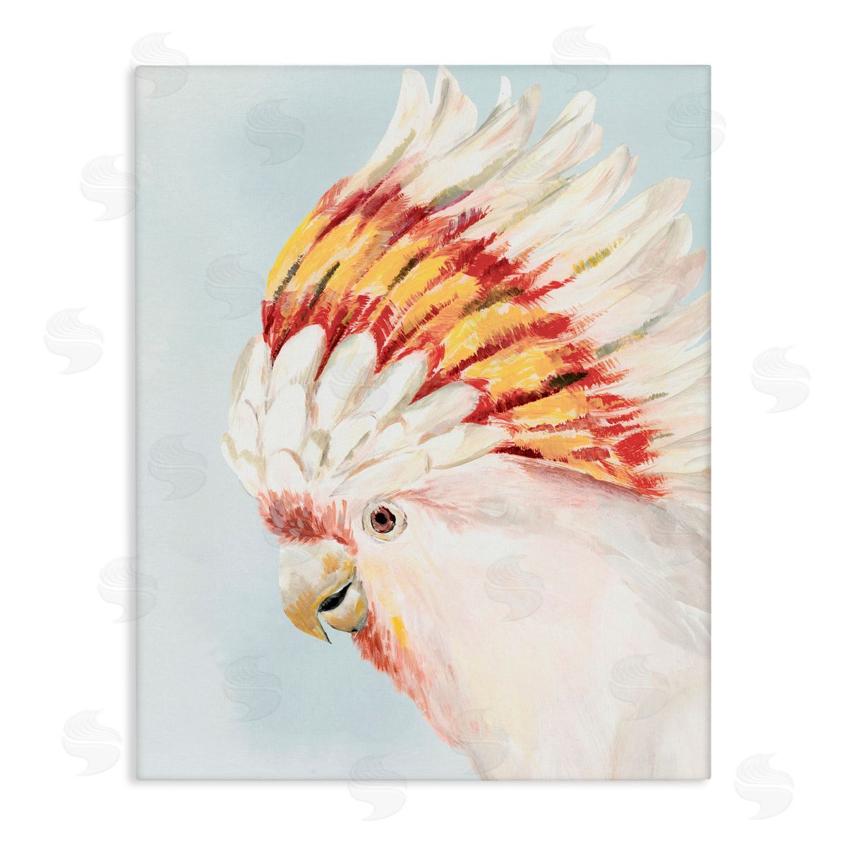 Hannah Dawson Vivid Plumage Cockatoo Canvas Wall Art Print