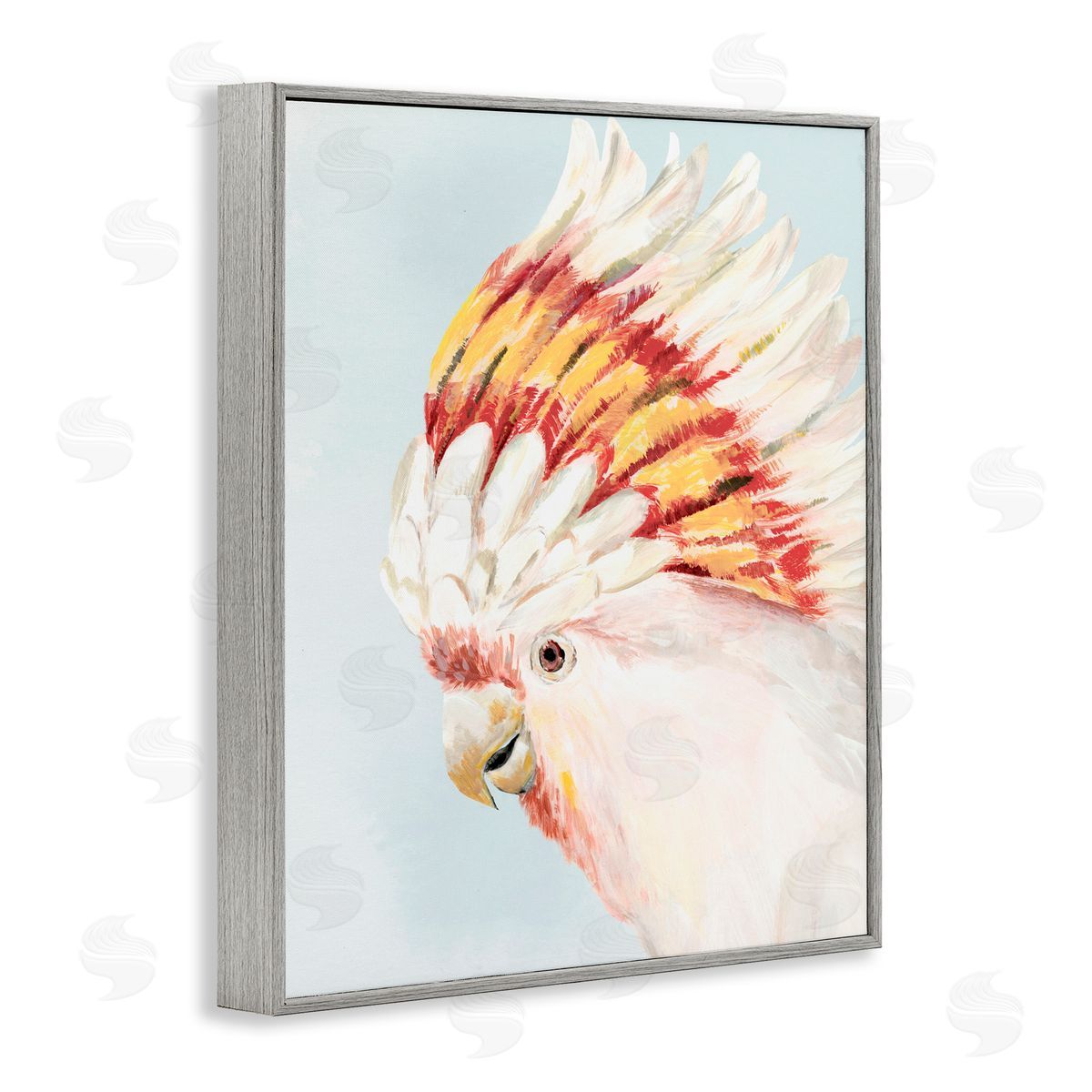 Hannah Dawson Vivid Plumage Cockatoo Gray Framed Giclee Art Print