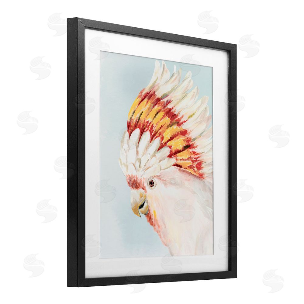 Hannah Dawson Vivid Plumage Cockatoo Black Framed Print Under Glass Art