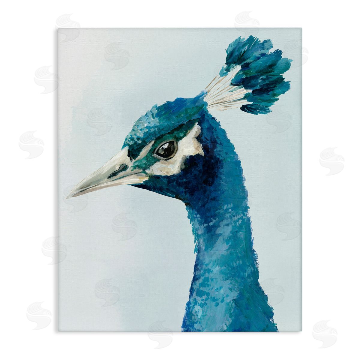 Hannah Dawson Vivid Plumage Peacock Canvas Wall Art Print