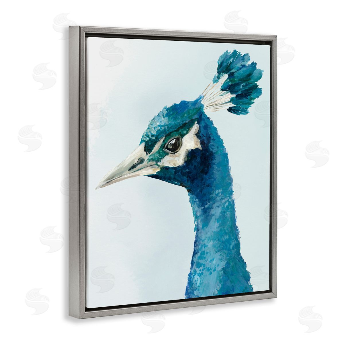 Hannah Dawson Vivid Plumage Peacock Gray Floating Frame Canvas Art Print