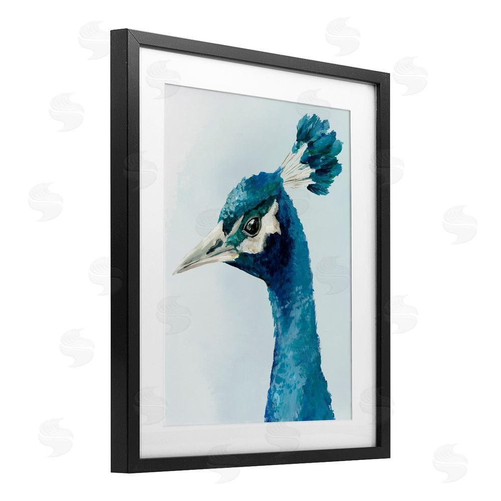 Hannah Dawson Vivid Plumage Peacock Black Framed Print Under Glass Art