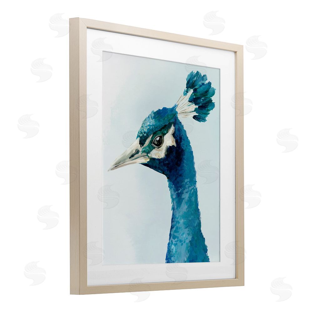 Hannah Dawson Vivid Plumage Peacock Birch Framed Print Under Glass Art
