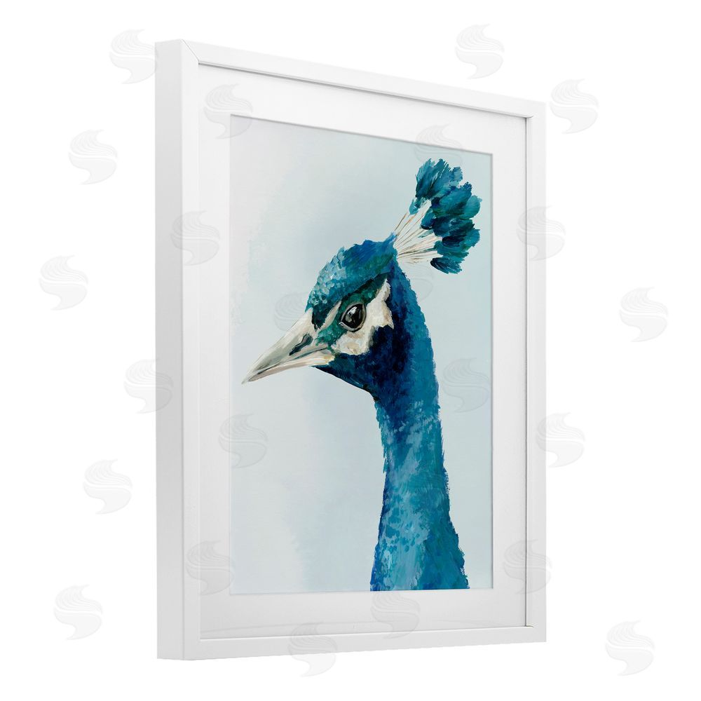 Hannah Dawson Vivid Plumage Peacock White Framed Print Under Glass Art