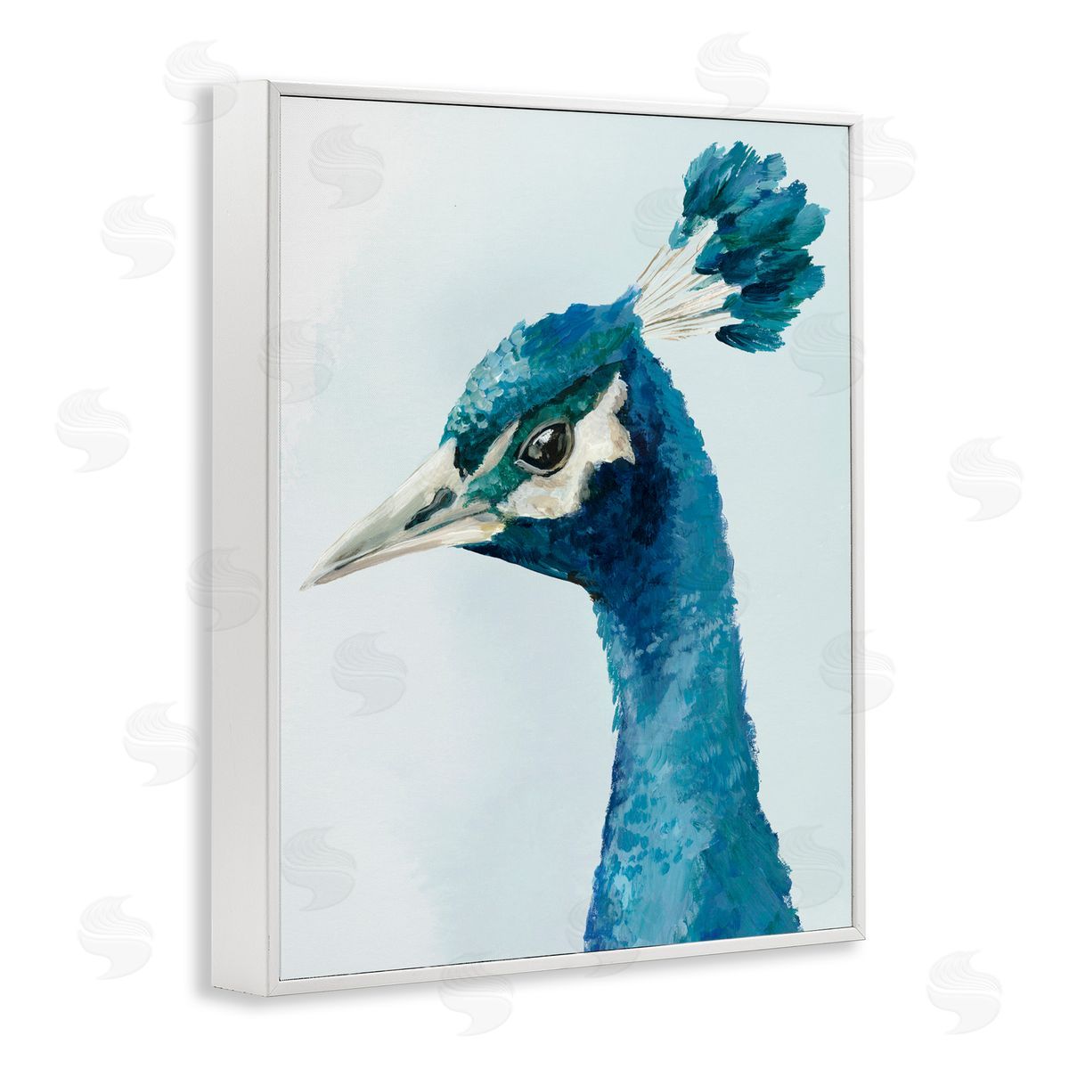 Hannah Dawson Vivid Plumage Peacock White Frame Giclee Art Print