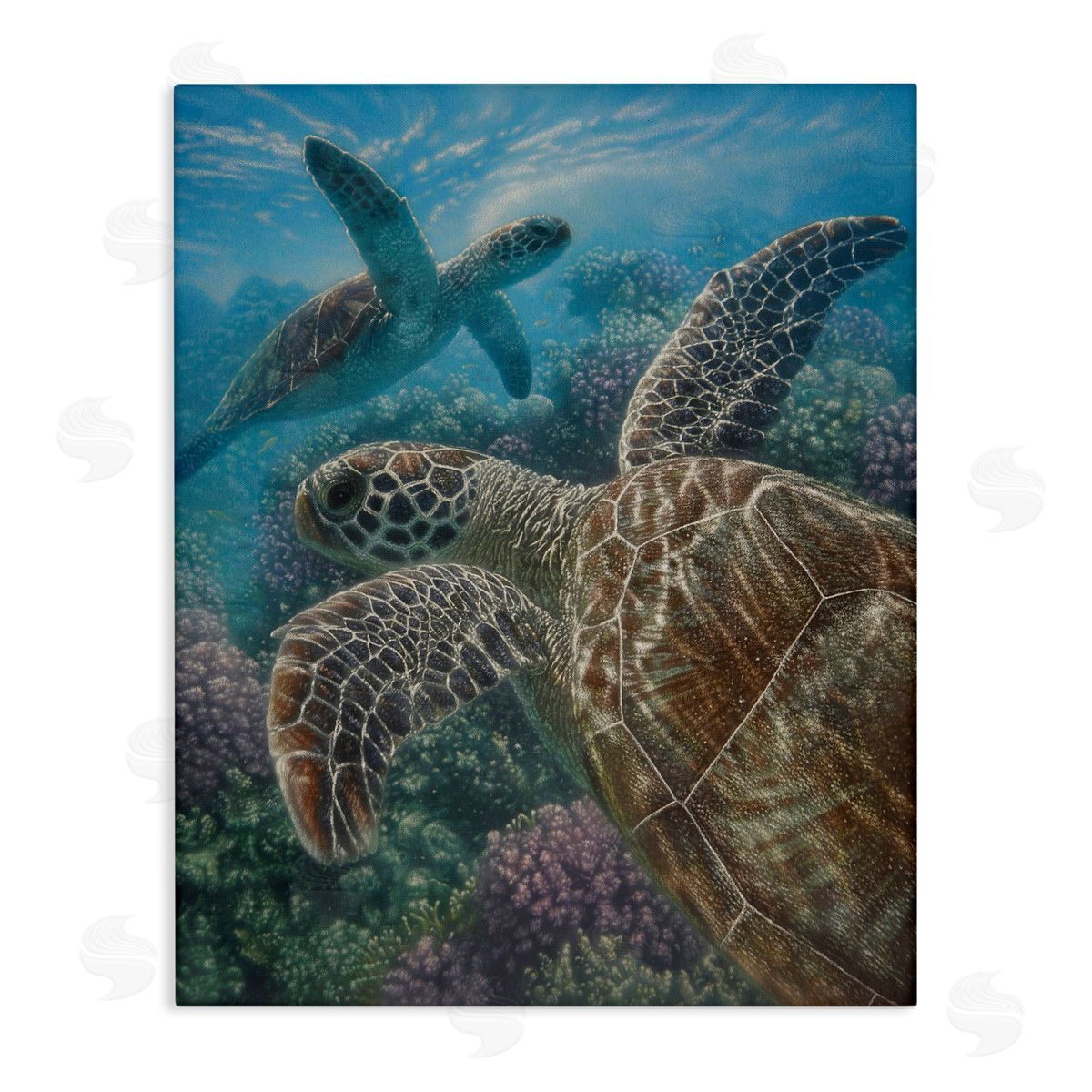 Collin Bogle Turtle Bay over Reef Canvas Wall Art Print