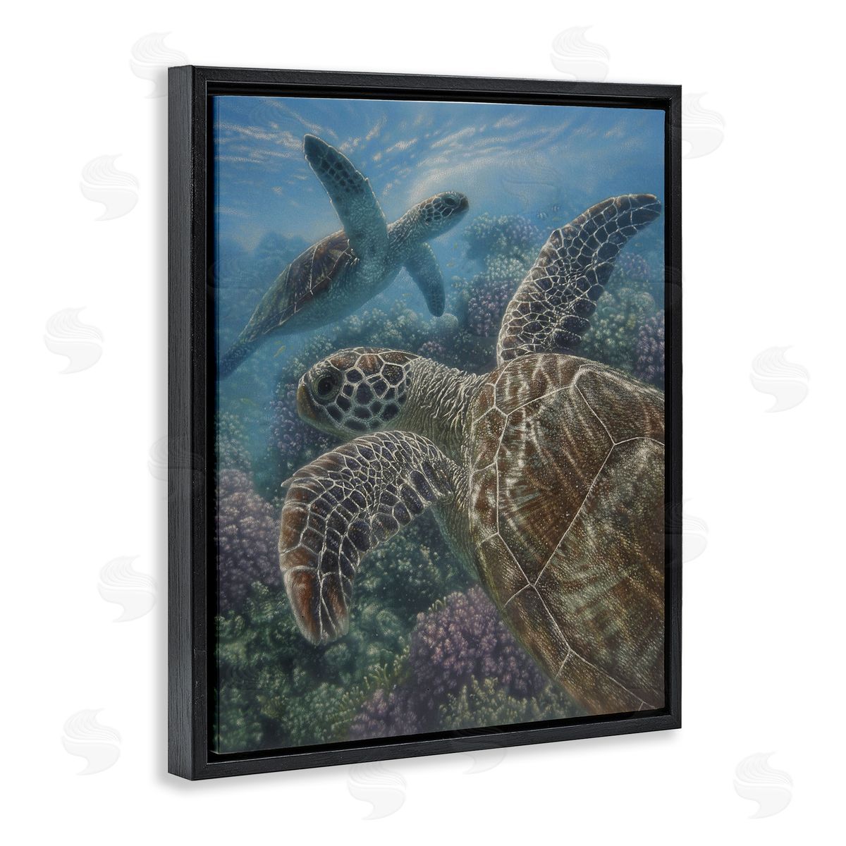 Collin Bogle Turtle Bay over Reef Canvas Wall Art Print