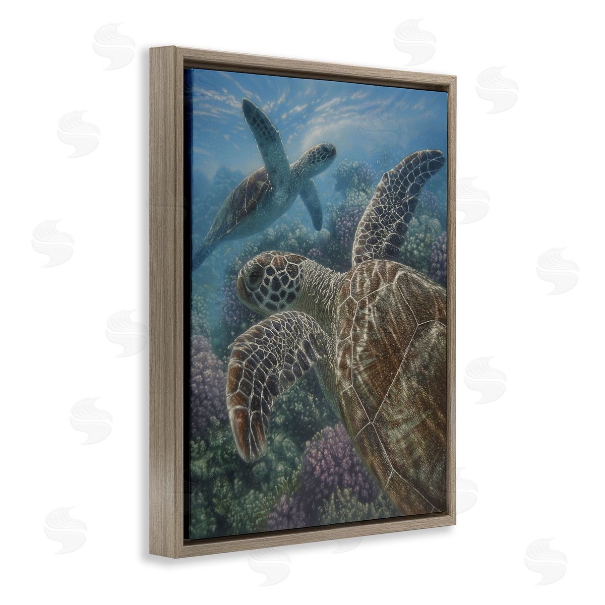 Collin Bogle Turtle Bay over Reef Canvas Wall Art Print