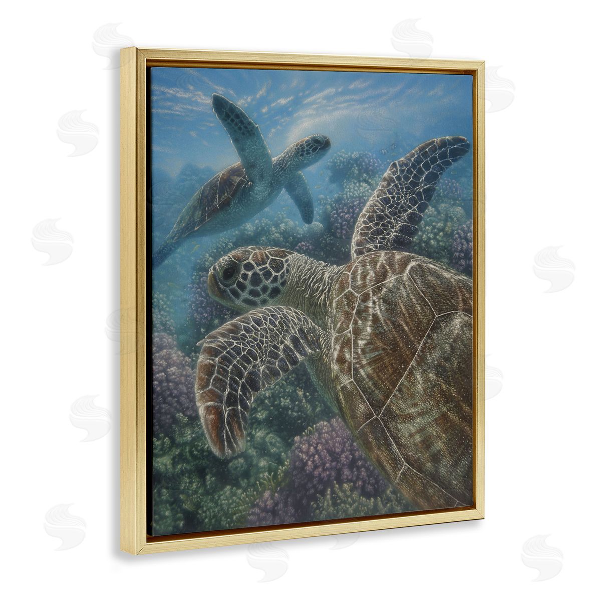 Collin Bogle Turtle Bay over Reef Canvas Wall Art Print