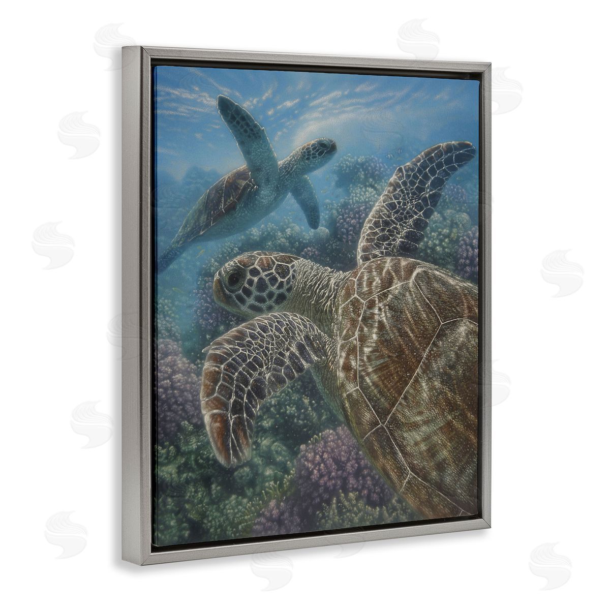 Collin Bogle Turtle Bay over Reef Canvas Wall Art Print