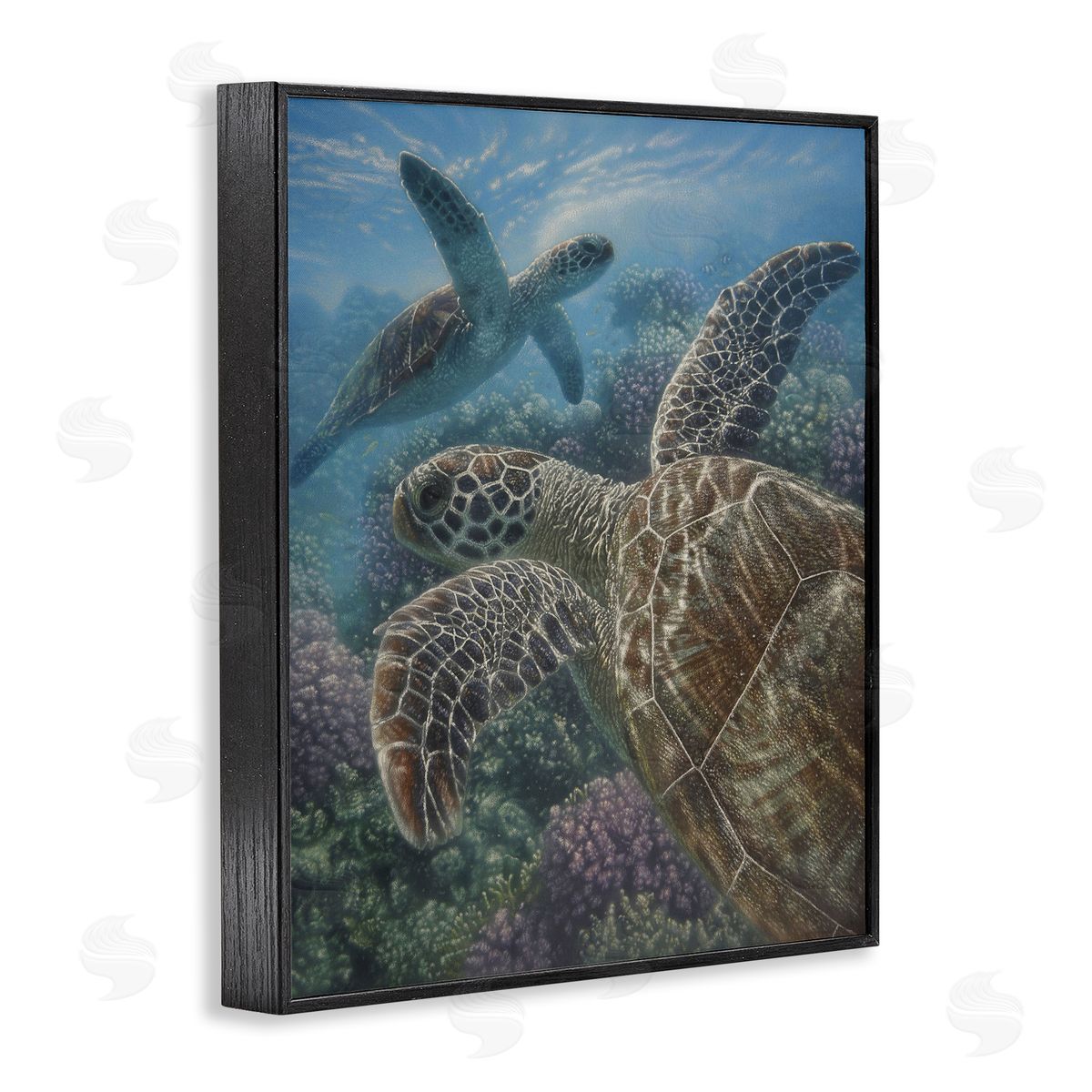 Collin Bogle Turtle Bay over Reef Canvas Wall Art Print