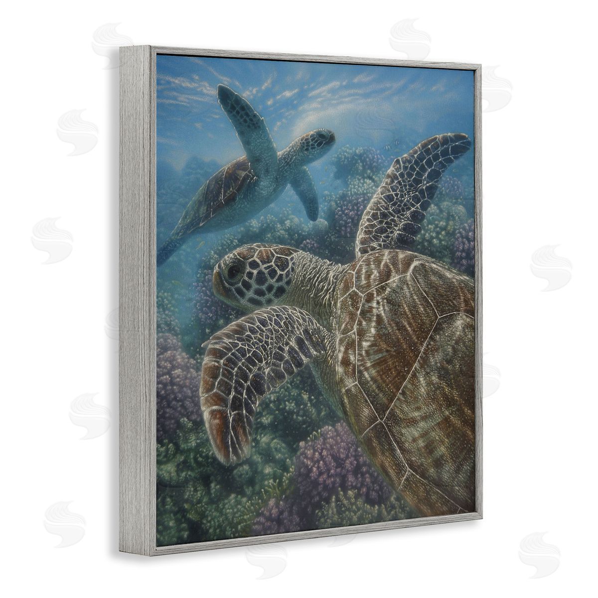 Collin Bogle Turtle Bay over Reef Canvas Wall Art Print