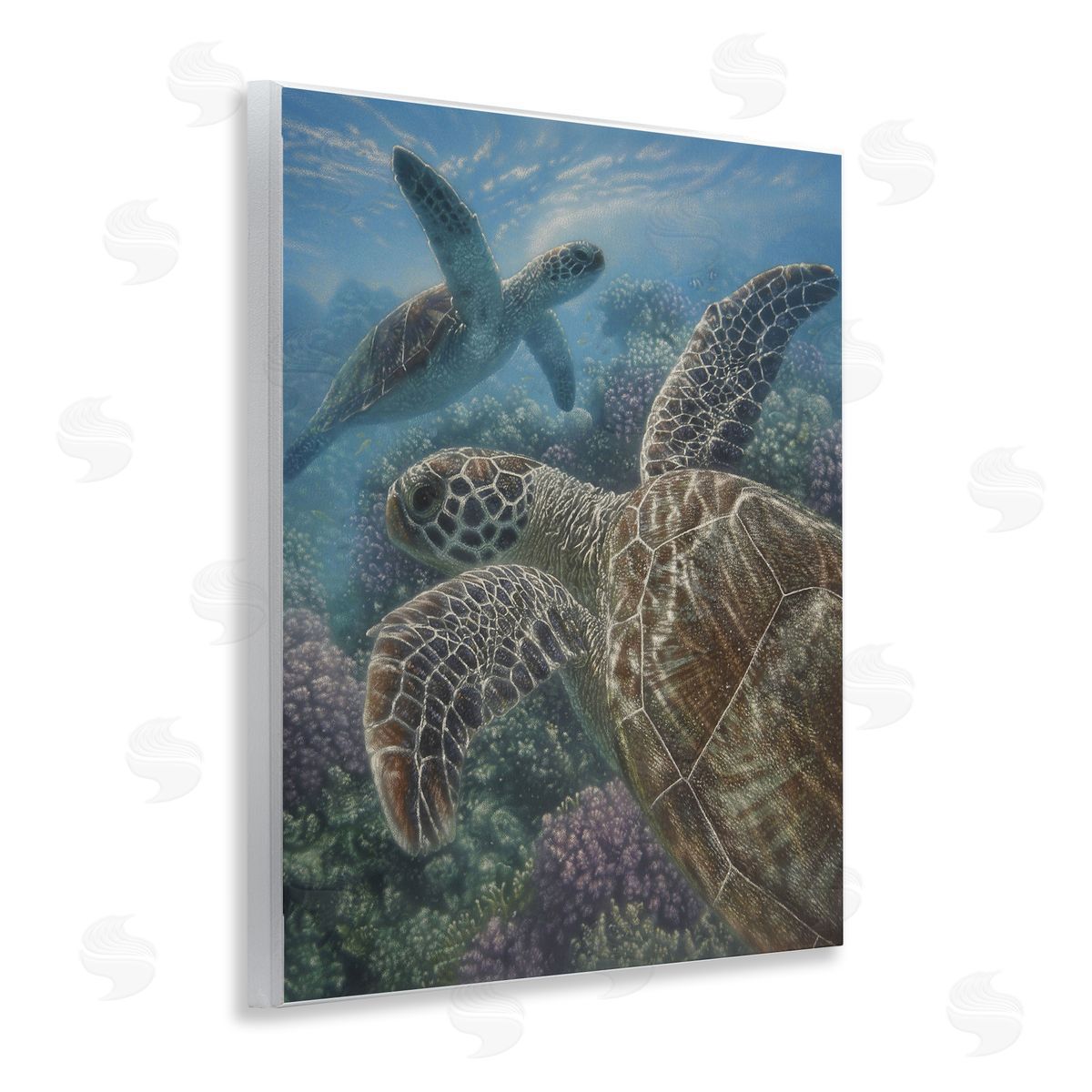 Collin Bogle Turtle Bay over Reef Canvas Wall Art Print