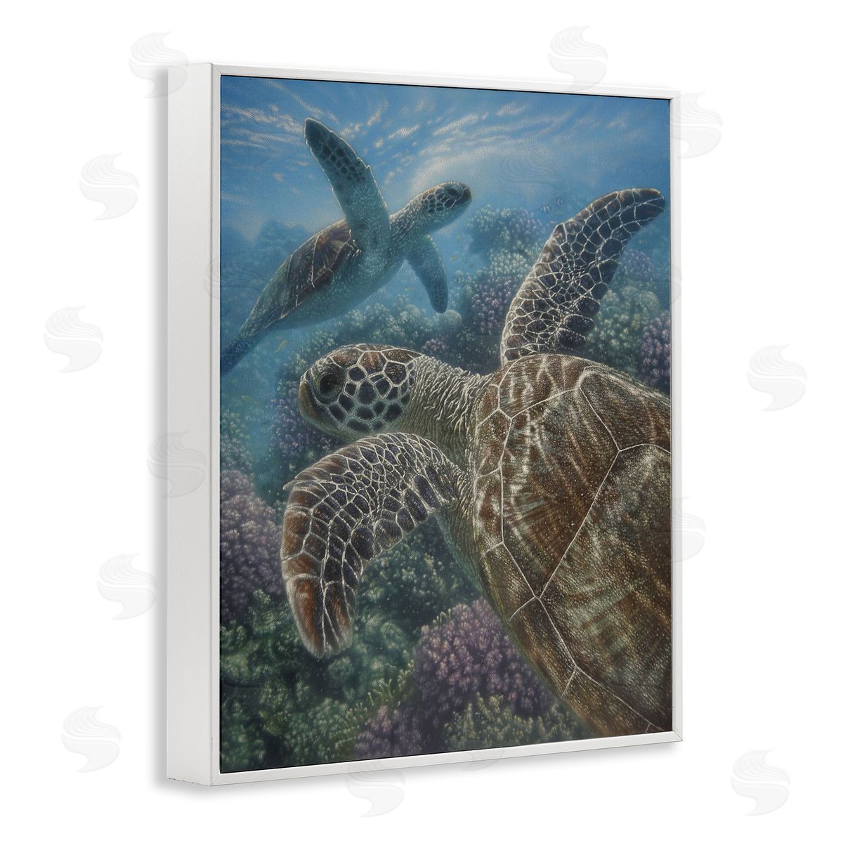 Collin Bogle Turtle Bay over Reef Canvas Wall Art Print