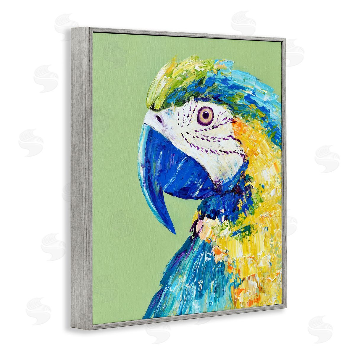 Jennifer Seeley Macaw Parrot on Green Gray Framed Giclee Art Print