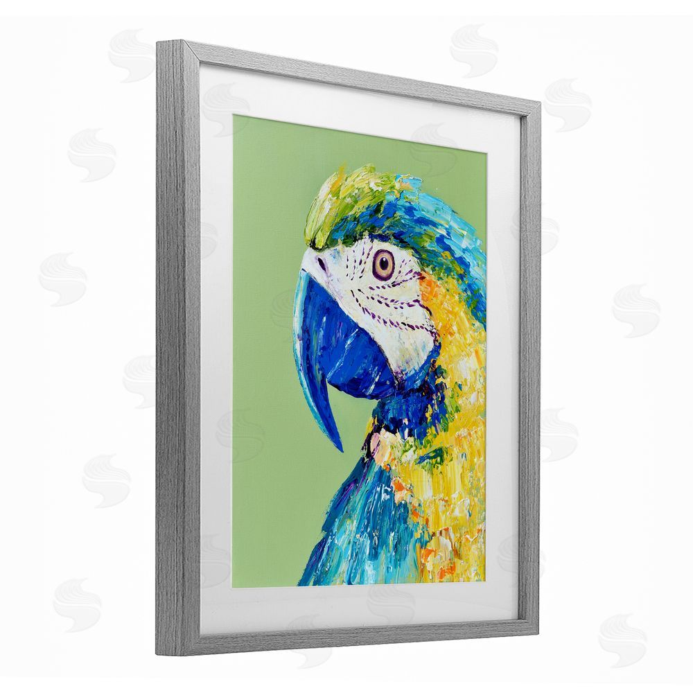 Jennifer Seeley Macaw Parrot on Green Gray Framed Print Under Glass Art