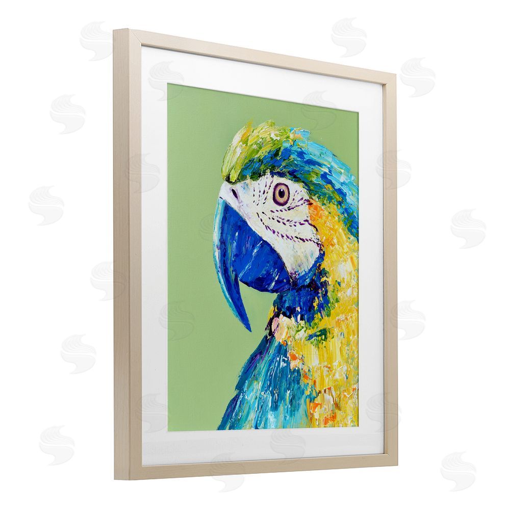 Jennifer Seeley Macaw Parrot on Green Birch Framed Print Under Glass Art