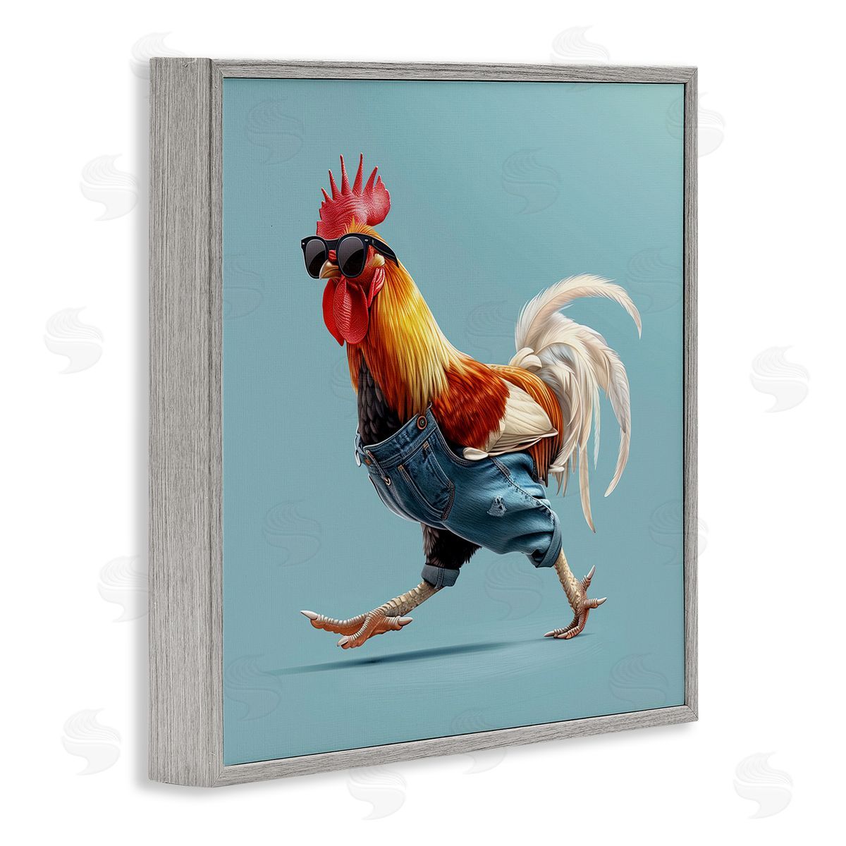 Jim Baldwin Rooster Run with Sunglasses Canvas Wall Art Print