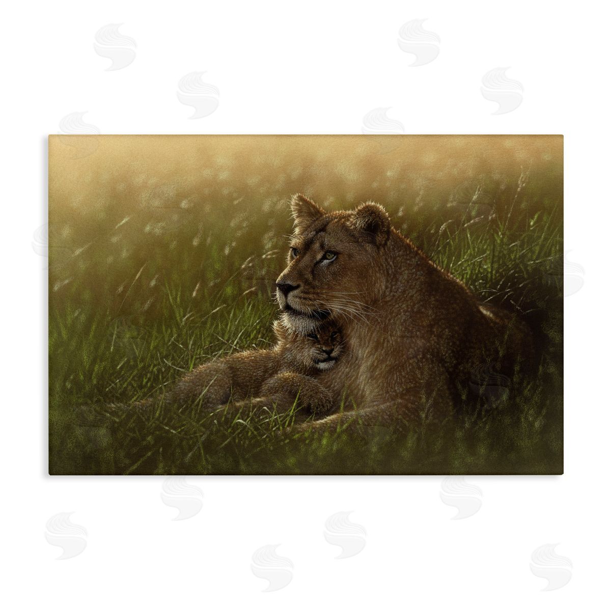 Collin Bogle Safe Haven Lion Cub Canvas Wall Art Print