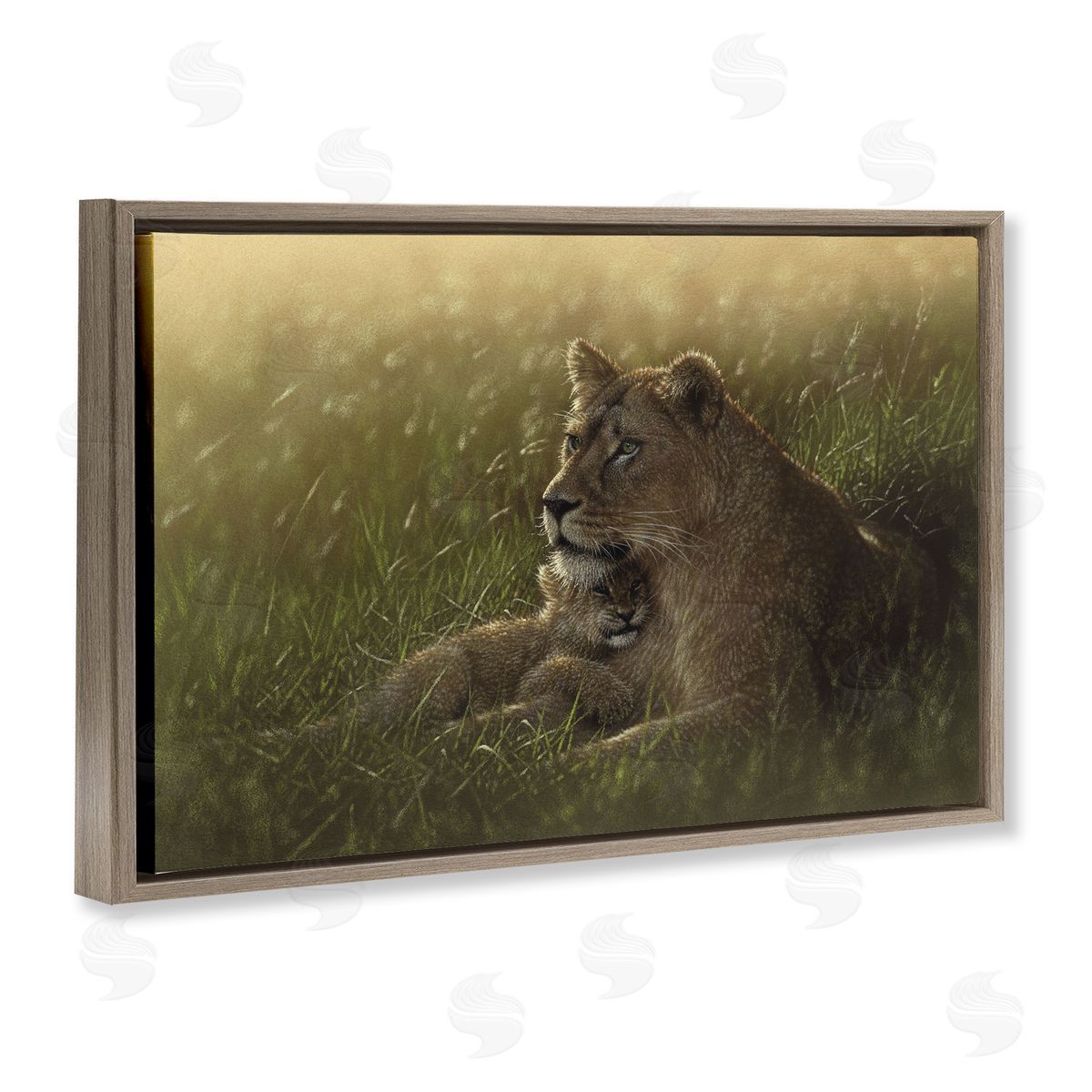 Collin Bogle Safe Haven Lion Cub Canvas Wall Art Print