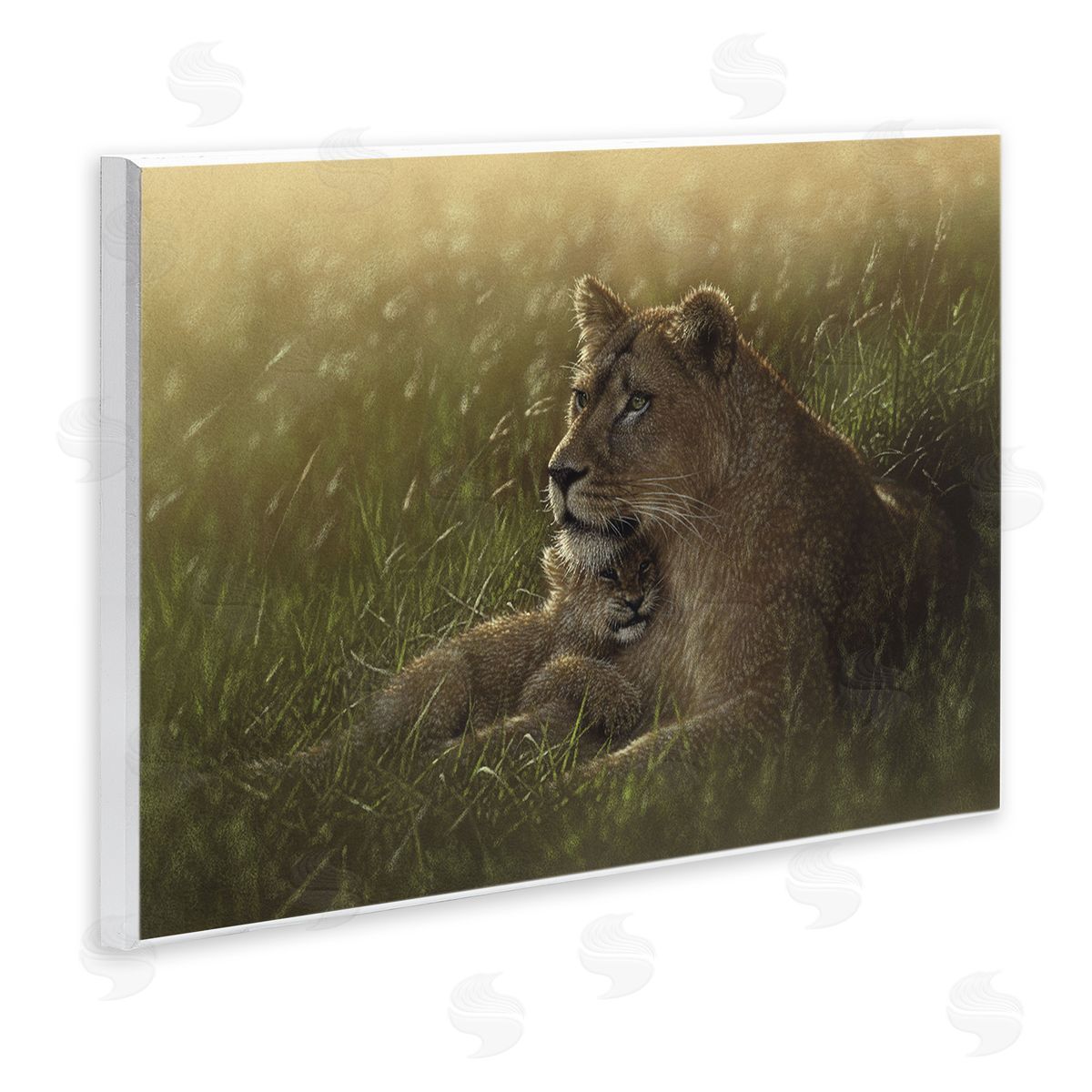 Collin Bogle Safe Haven Lion Cub Canvas Wall Art Print